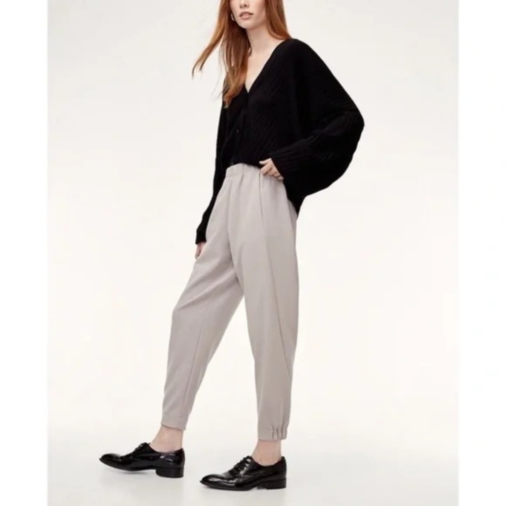 Aritzia/Babaton • Dexter Pant • Brown • XS